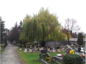 Prievidza,  Mestský cintorín